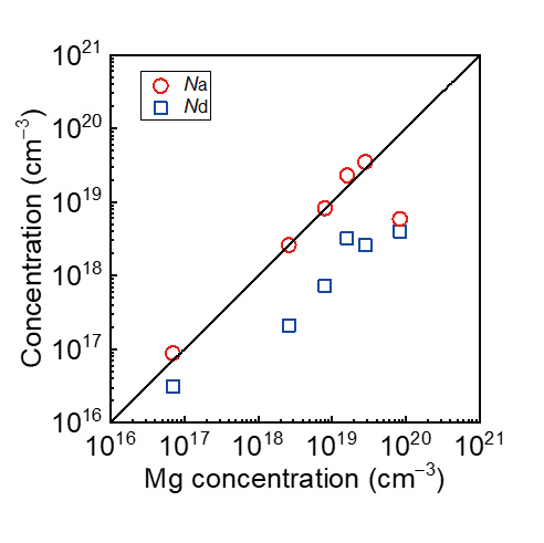 HVPE法によって作製されたp型GaNのアクセプタ密度および補償ドナー密度のMg濃度依存性。