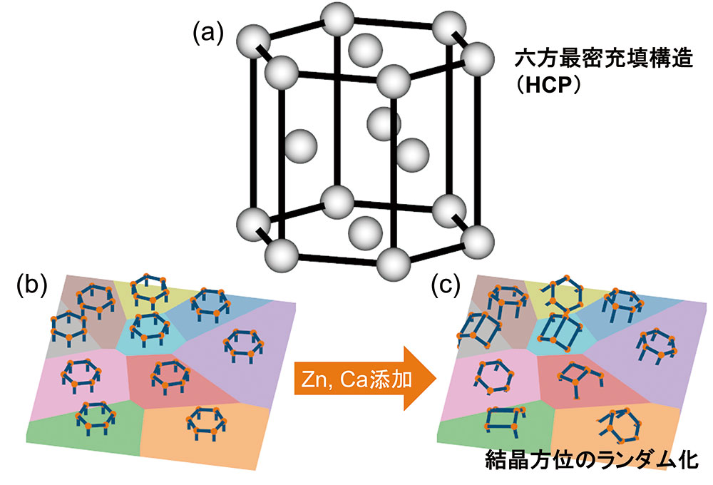 図1  六方最密充填構造(a)、Mg板材の結晶配向(b)およびZn、Ca添加によるMg合金板材の結晶方位のランダム化(c)の模式図
