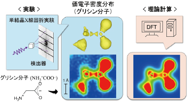 図2 実験価電子密度分布と理論価電子密度分布の比較