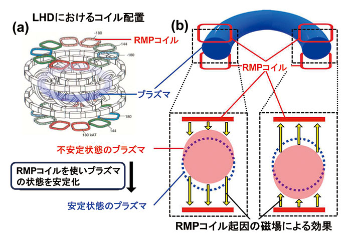 （a）LHDのコイル配置図。色付のコイルは不可的な共鳴摂動磁場(RMP)コイル。白色のコイルは青色の領域に磁場容器を作るためのコイル。（b）不安定性のプラズマに与える効果と共鳴摂動磁場(RMP)が不安定性に与える効果の概念図。上の青色のドーナツは磁場容器中のプラズマ。下図波線部が安定状態でのプラズマの位置、下図赤部が不安定な状態のプラズマの概念図。