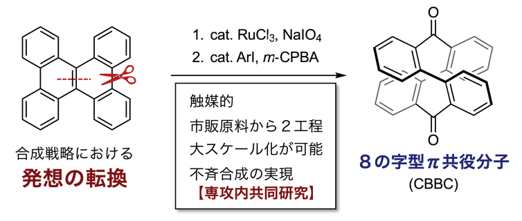 本研究成果の概要