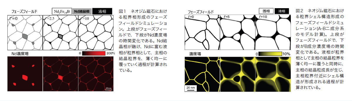 図１ ネオジム磁石における粒界相形成のフェーズフィールドシミュレーション。上段がフェーズフィールドで、下段がNd濃度場の時間変化である。Nd結晶相が融け、Ndに富む液相が粒界相として、主相の結晶粒界を、薄く均一に覆っていく過程が計算されている。図2 ネオジム磁石における粒界シェル構造形成のフェーズフィールドシミュレーション(A-B二成分系のモデル計算)。上段がフェーズフィールドで、下段がB成分濃度場の時間変化である。液相が粒界相として主相の結晶粒界を薄く均一に覆うと同時に、主相の結晶粒成長が生じ、主相粒界付近にシェル構造が形成される過程が計算されている。