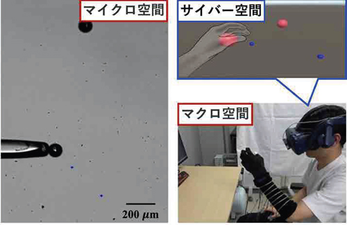 図2 ヒトが小さな世界に入り込んだような感覚で細胞の操作を行う機械システムの研究を行っています。