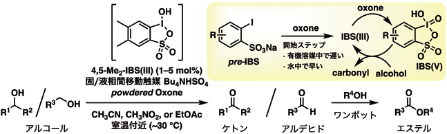 IBS（Ⅲ/V）/ オキソン触媒によるアルコールの常温酸化の概念図
