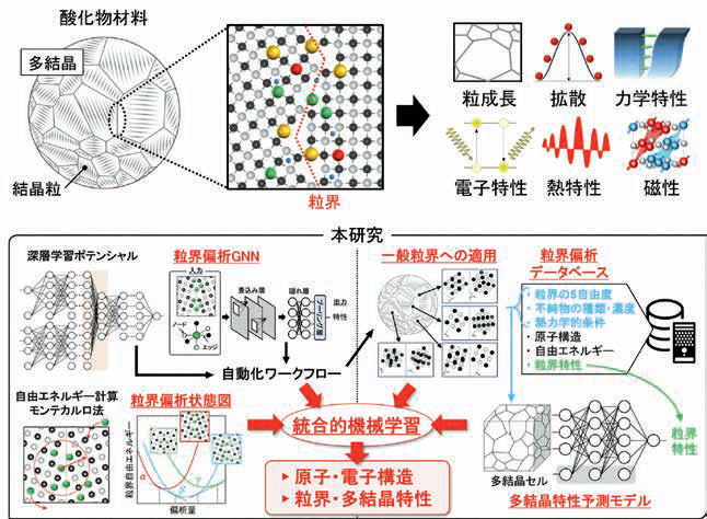 酸化物材料における粒界偏析と本研究の提案手法