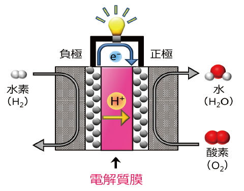 図1 FCVに搭載されている燃料電池の模式図。中央部が（高分子）電解質膜。