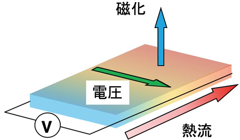 図1 異常ネルンスト効果の概念図。熱流と磁化の外積方向に電圧が発生する。
