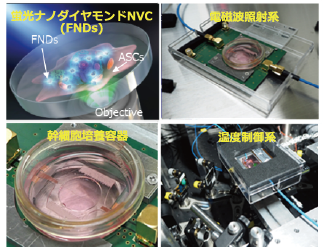 図3 蛍光ナノダイヤモンドNVC（FNDs）による幹細胞温度計測システムの概要図と写真