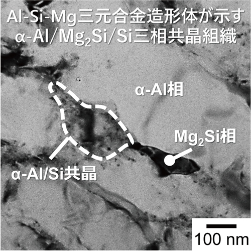 図1 Al-Si-Mg三元合金の造形体で観察された非平衡なミクロ組織のTEM像